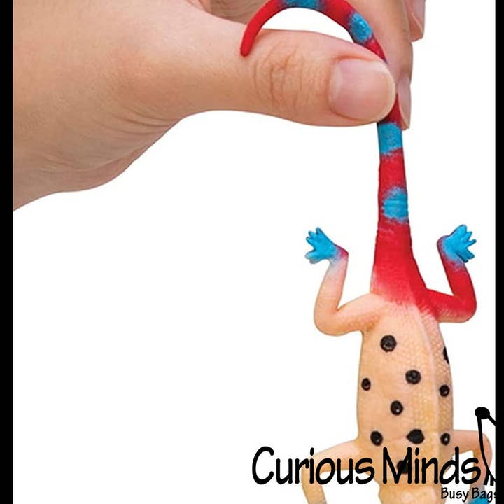 Curious Minds Toys - Wholesale Toy Set - Kids - 1 Color Changing Lizards Toy - Thermal - Changes Colors in C3