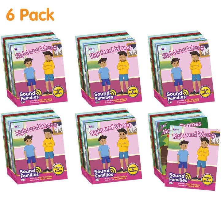 Sound Families Consonants Fiction Phase 5.5 - 6 pack for wholesale by Junior Learning Inc.