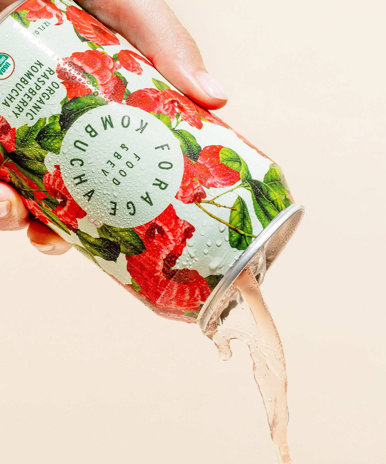 Forage Kombucha - Wholesale Kombucha - Raspberry Kombucha3