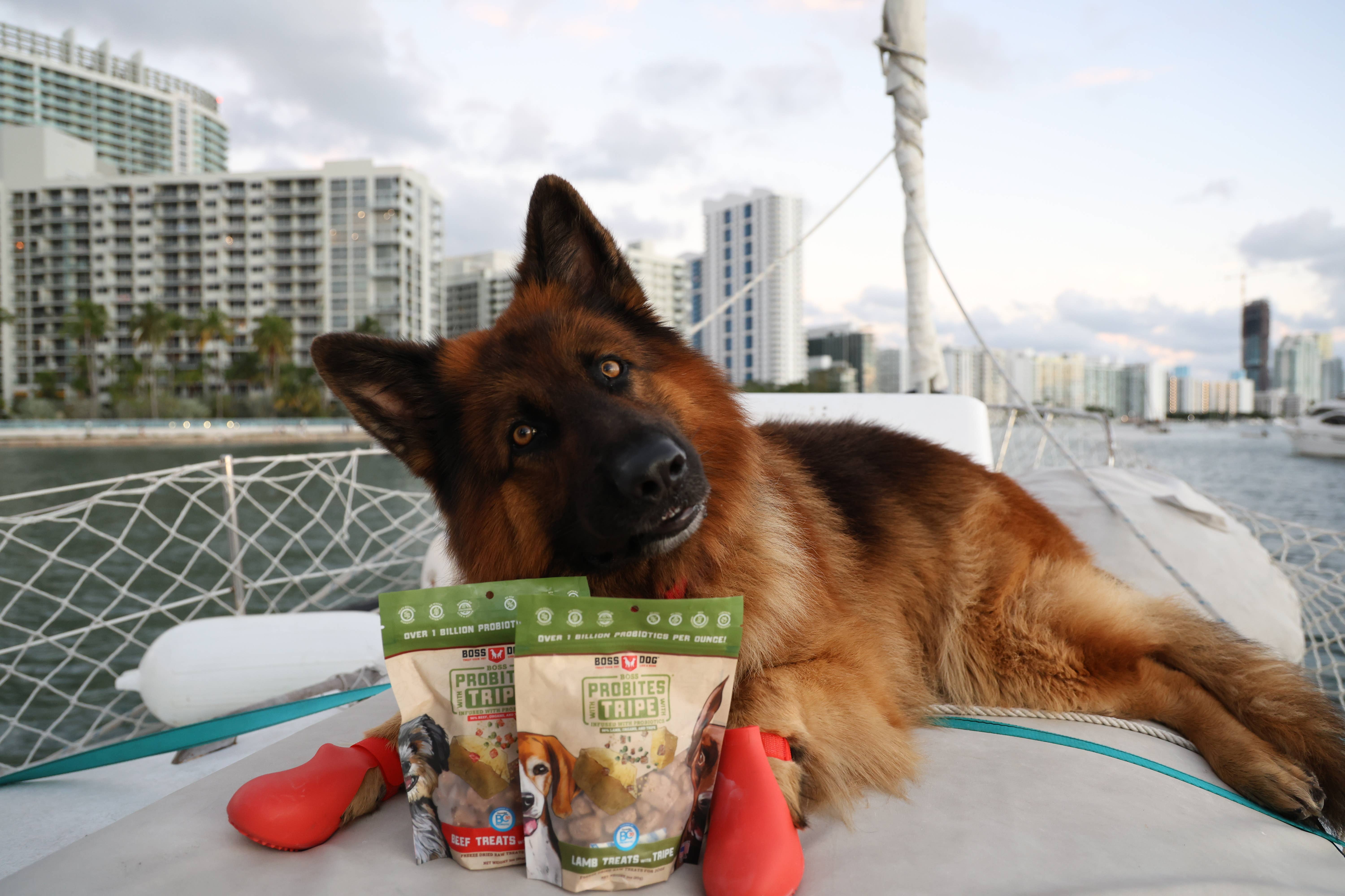 BOSS DOG BRAND, INC. - Wholesale Pet Treats - Dog - Boss Dog & Boss Cat Probites W/ Tripe- Beef (3oz)3