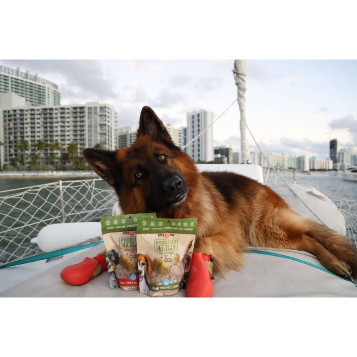 BOSS DOG BRAND, INC. - Wholesale Pet Treats - Dog - Boss Dog & Boss Cat Probites W/ Tripe- Beef (3oz)3