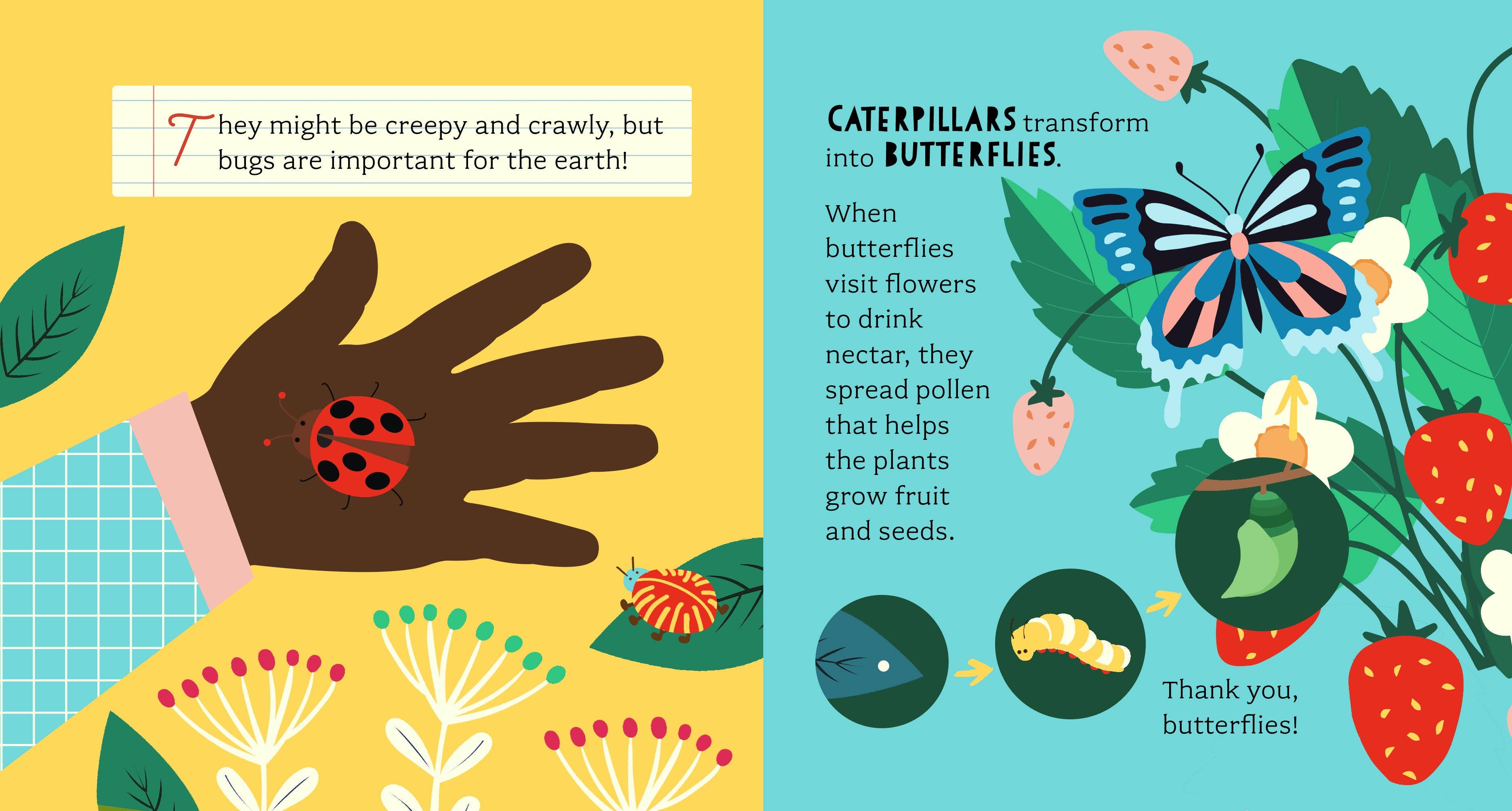 Bushel & Peck Books - Wholesale Baby & Toddler Book (0-2) - Bathtub Genius: Let's Learn About Bugs3