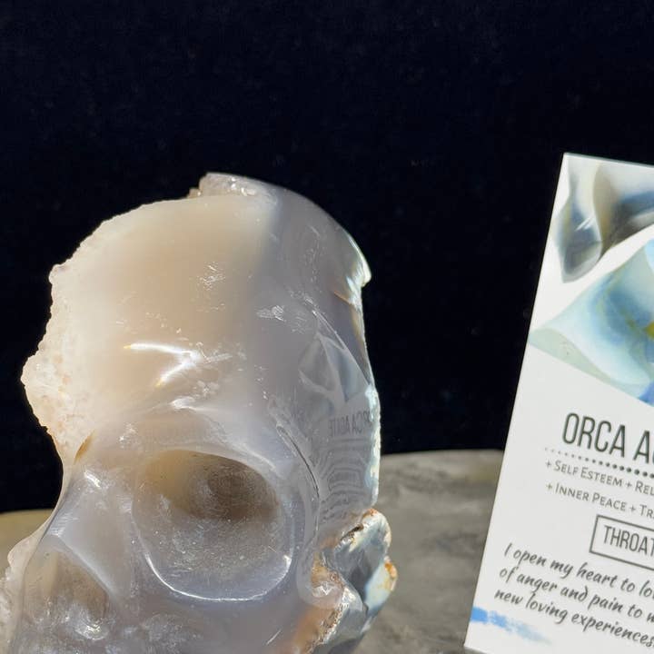 Unique Druzy Orca agate skull w/ info card F84R for wholesale by The 7 Directions