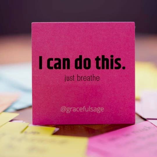 Graceful Sage – Notas adesivas por atacado – Afirmações diárias, notas adesivas positivas divertidas3