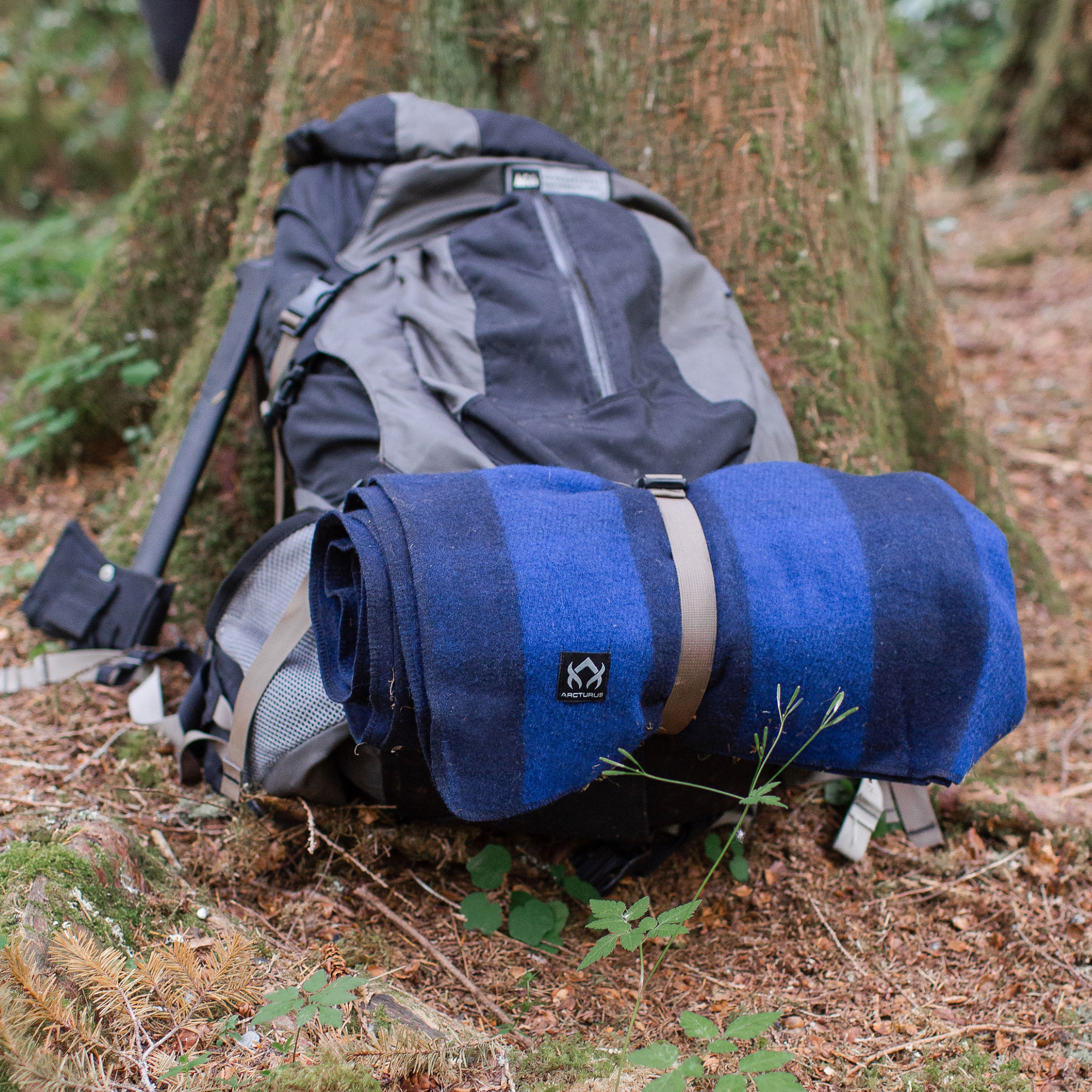 Arcturus - Vendita all'ingrosso Coperta - Coperta di lana Arcturus Backwoods20