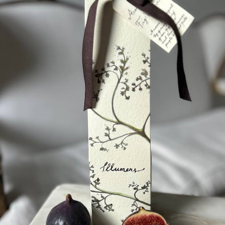 Fig Valloires - DIFFUSEUR AROMATIQUE pour la vente par ILLUMENS