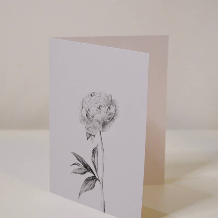 Sam Callery Art - Wholesale Everyday Greeting Card - Peony Stem Greeting Card