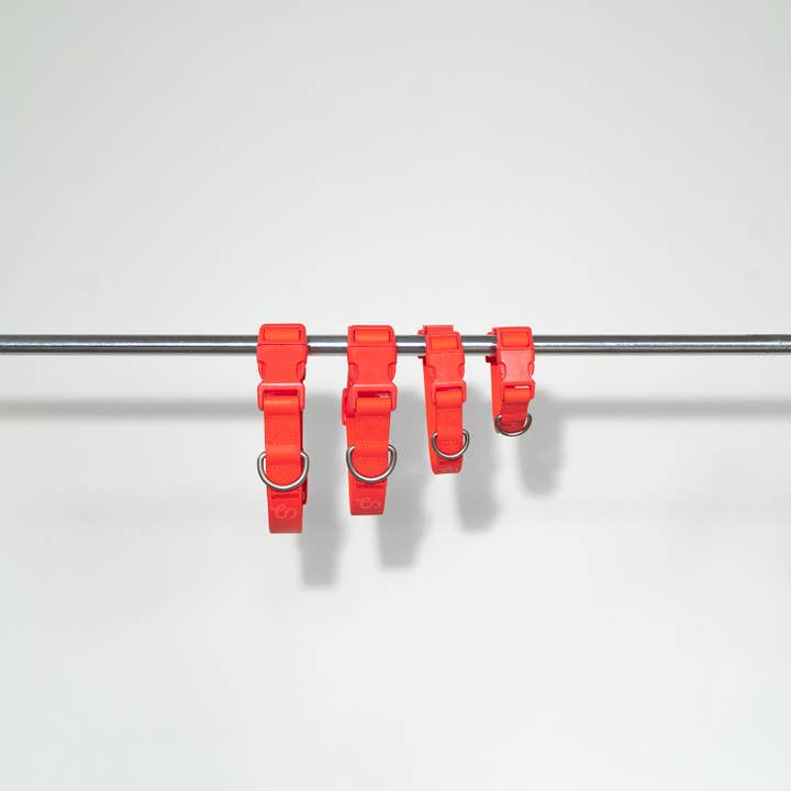 Springland Pets - Wholesale Pet collar – Dog - Dog Collar - All-Weather, Adjustable (4 Pack)8