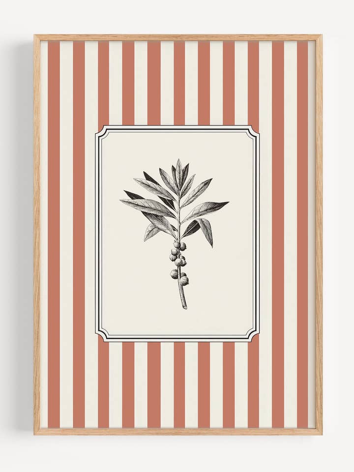 Terracotta Stripe Botanical Wall Art Print | Vintage Flower Illustration I183 for wholesale by Peardrop Prints