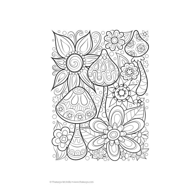 Fox Chapel Publishing - Wholesale Coloring Book - Adult - Color Dreams Coloring Book - Take Along Adult Coloring1
