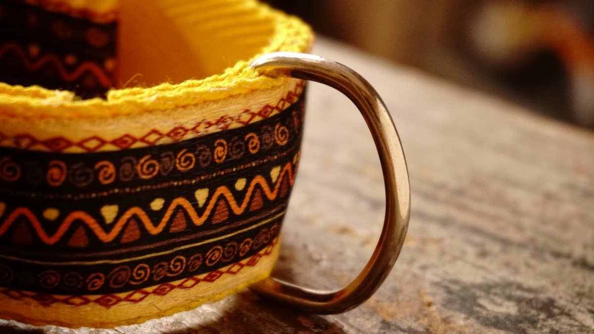 hundsfutter - Vente Collier – chien - Collier large jaune pour chiens2