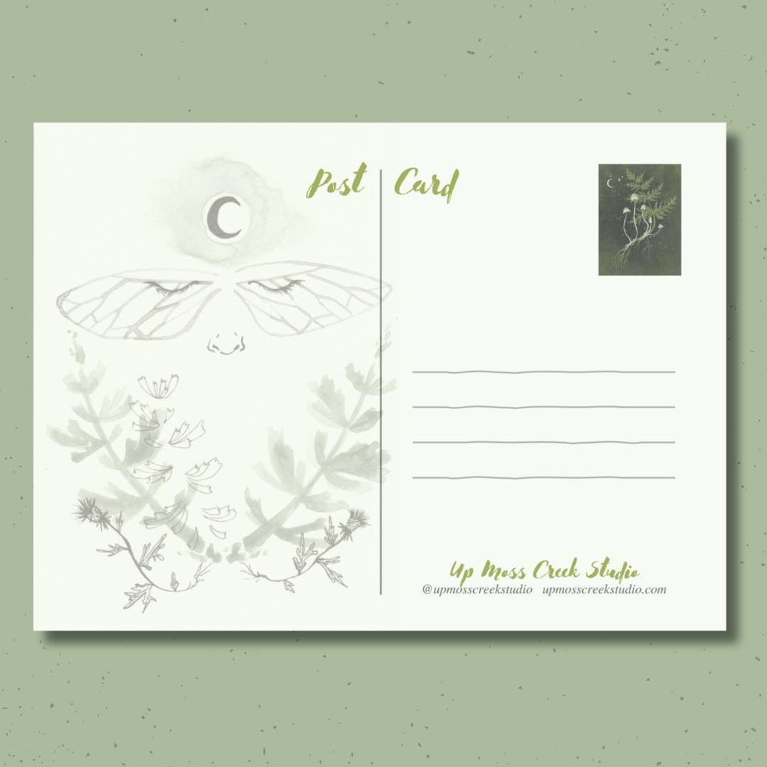 Up Moss Creek Studio - Wholesale Postcard - Luna Moth Postcard 3