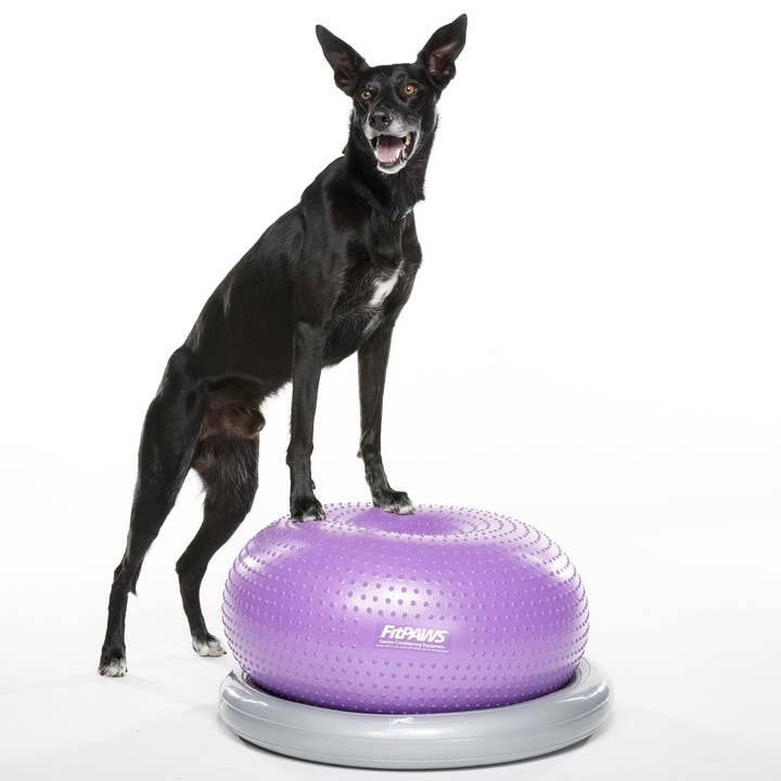 FitPAWS – wholesale Pet fetch ball – Dog – FitPAWS® TRAX Donut, Purple2