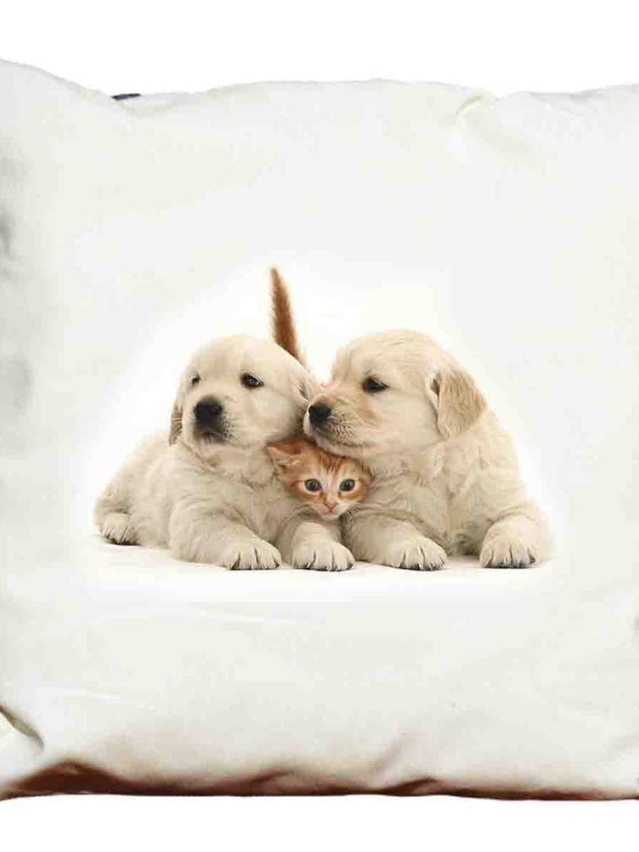 Coussin décoratif Chiots pour la vente par DB GROUP SRL