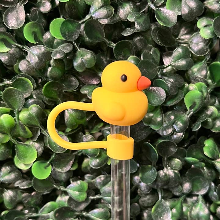 Briano Wholesale - Wholesale Drinking Straw - Other Large Straw Toppers17