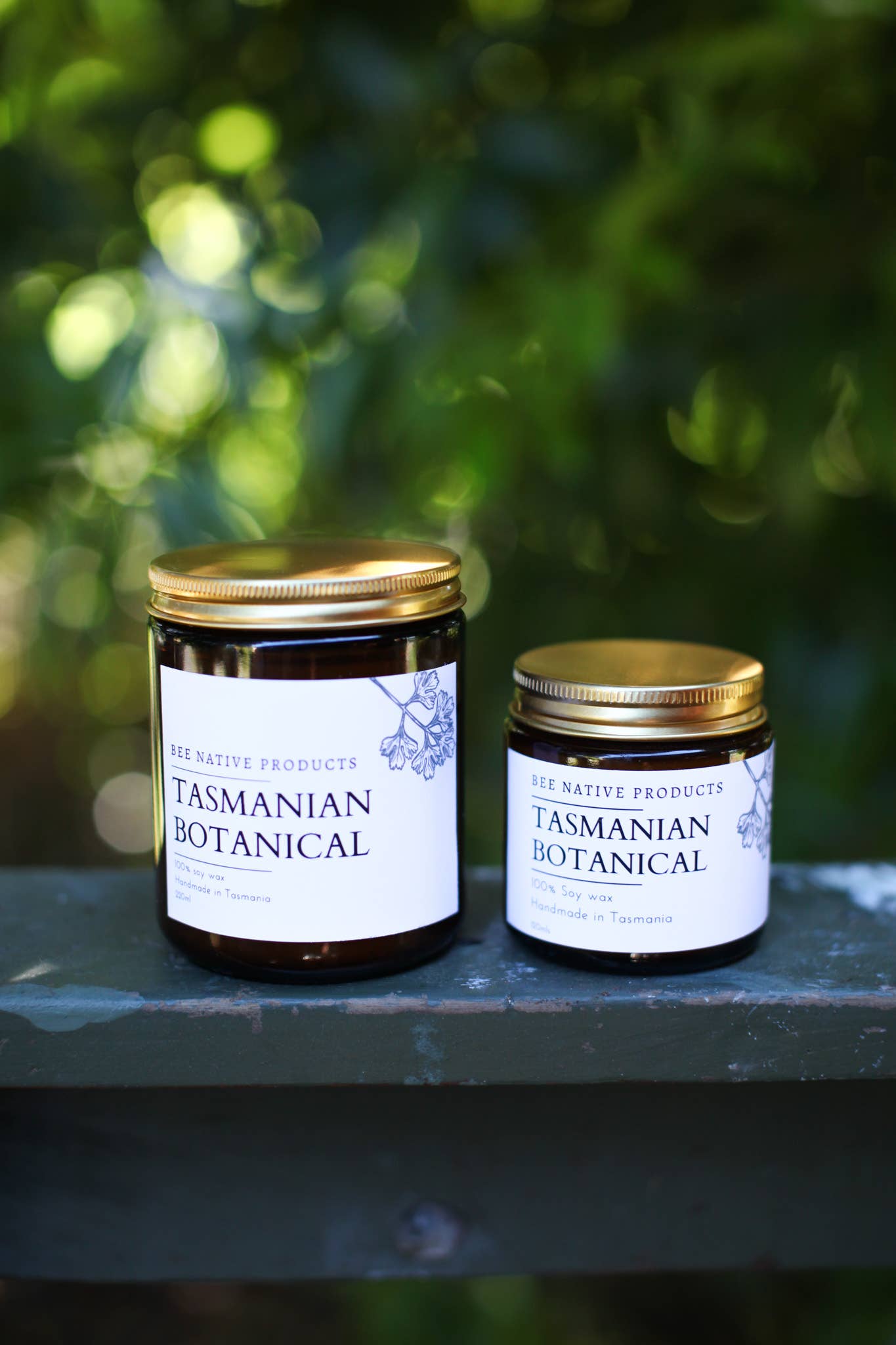 Bee native products - Wholesale Jar/filled candle - Tasmanian Botanical soy candle0