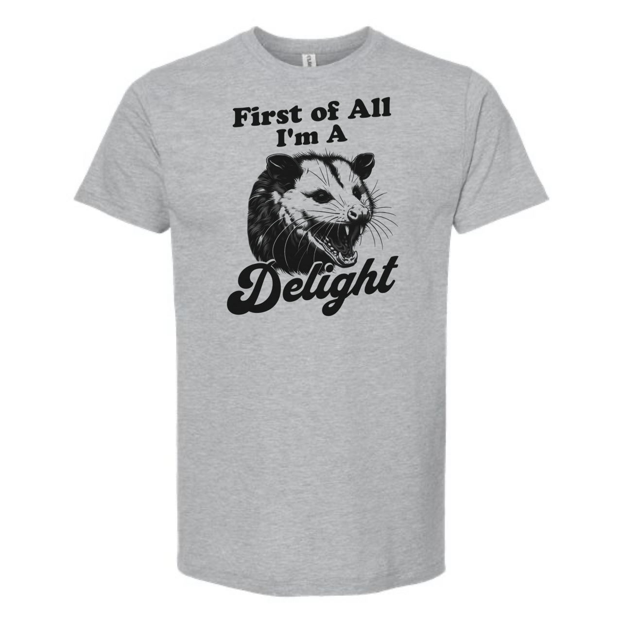 dkhandmade - Wholesale Screen Printed T-Shirt - Unisex - FIRST OF ALL I'M A DELIGHT T-SHIRT7