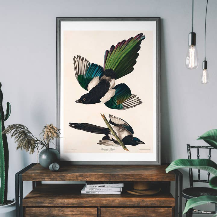 Ink & Drop – Impressão artística por atacado – Impressão de pássaro antigo vintage Magpies4