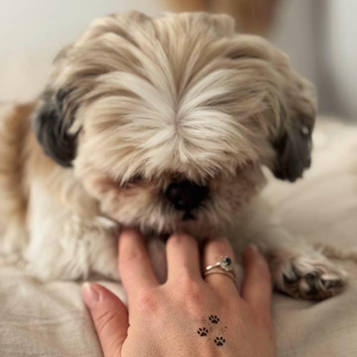 Sioou - Wholesale Temporary Tattoo - Pattes d'animaux x53