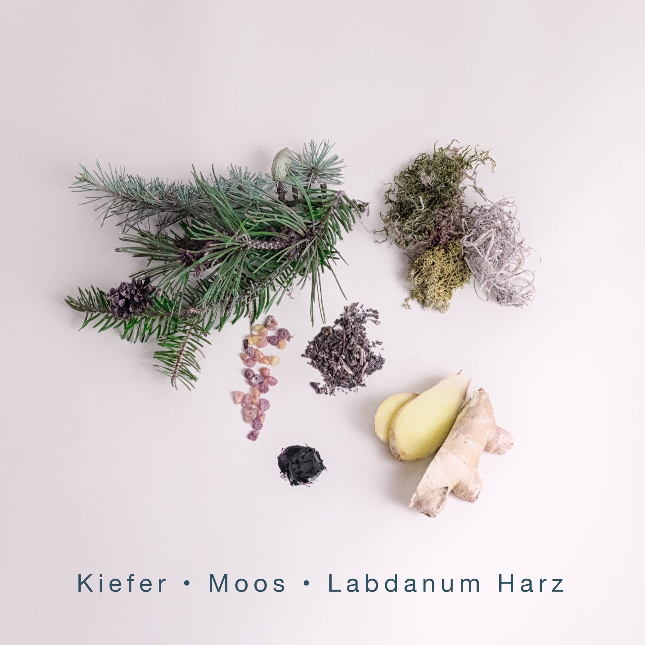 SCENTORIE. - Wholesale Reiskaarsen - WILD WOODS Geurkaars van koolzaadwas 110 g / 20 uur met houten lont1