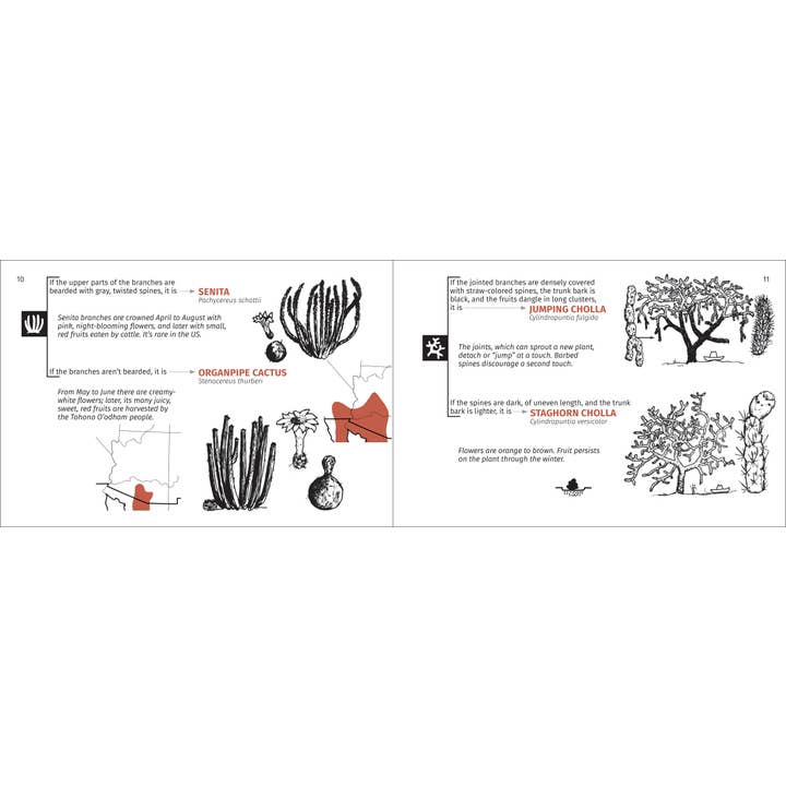 AdventureKEEN - Wholesale Nature & Outdoors - Desert Tree Finder 2e11