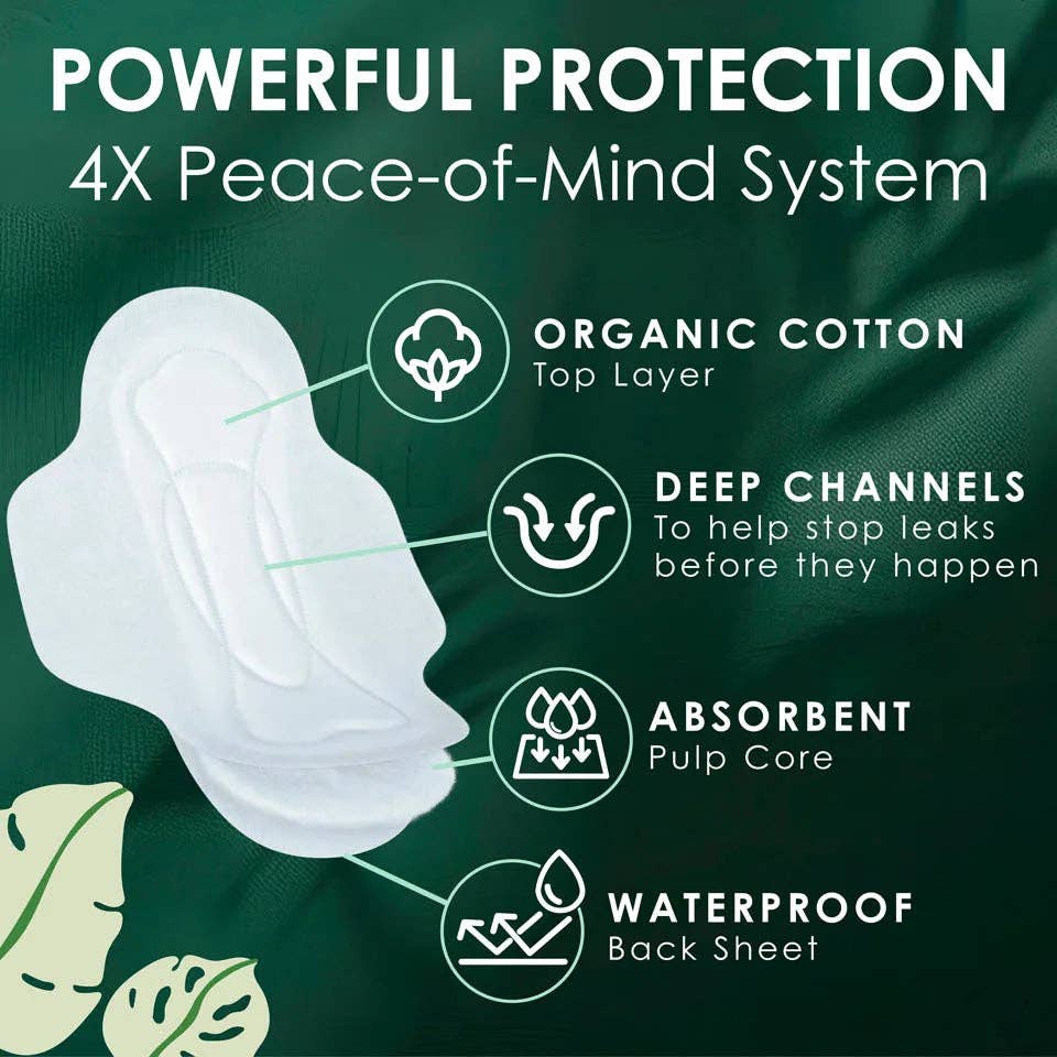 First Choice Buying - Wholesale Period Underwear - Women's - L. Ultra Thin Pads with Wings, Regular, 100% Pure Cotton Top Layer, 56 Count1