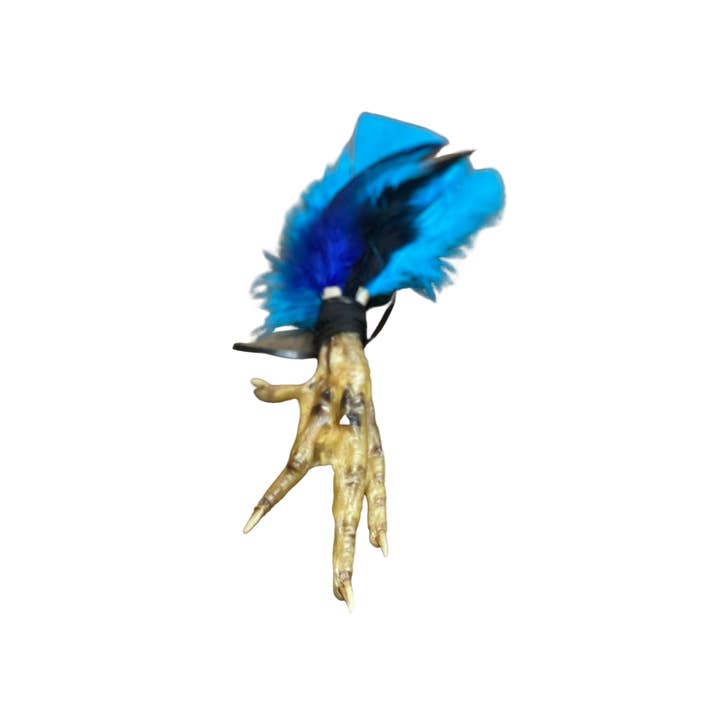 Eye of Toad, LLC - Wholesale Spiritual Stone/Crystal - Authentic New Orleans Hoodoo Chicken Foot Amulet / Blue