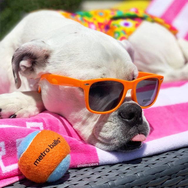 Metro Paws - Wholesale Pet Fetch Ball - Dog - Metro Paws Tennis Balls® Wholesale6