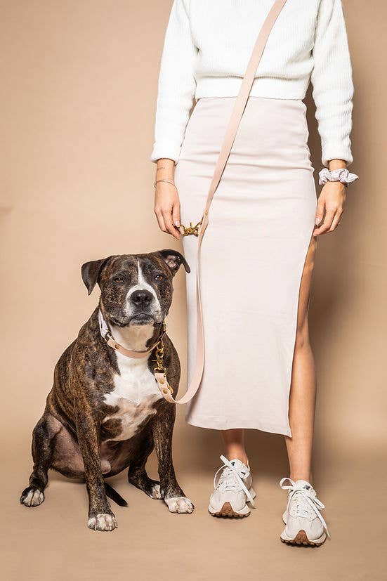 Pompon & Pets - Wholesale Pet Leash - Dog - Nude Multi-Position Leash - Biothane1