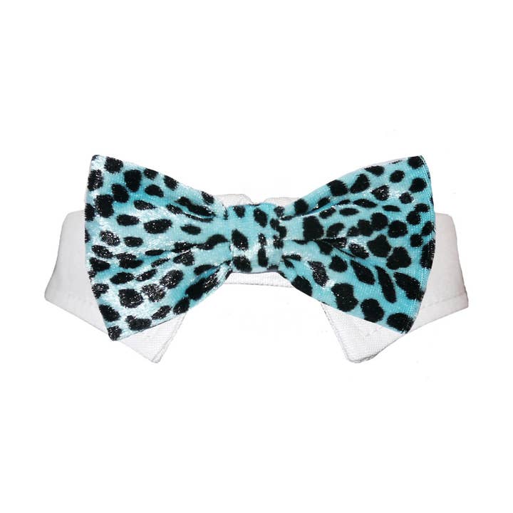 Roberto Bow Tie for wholesale by Pooch Outfitters