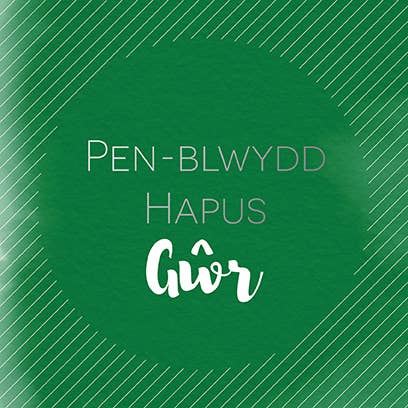 Husband birthday card 'Pen-blwydd hapus Gŵr' for wholesale by Draenog