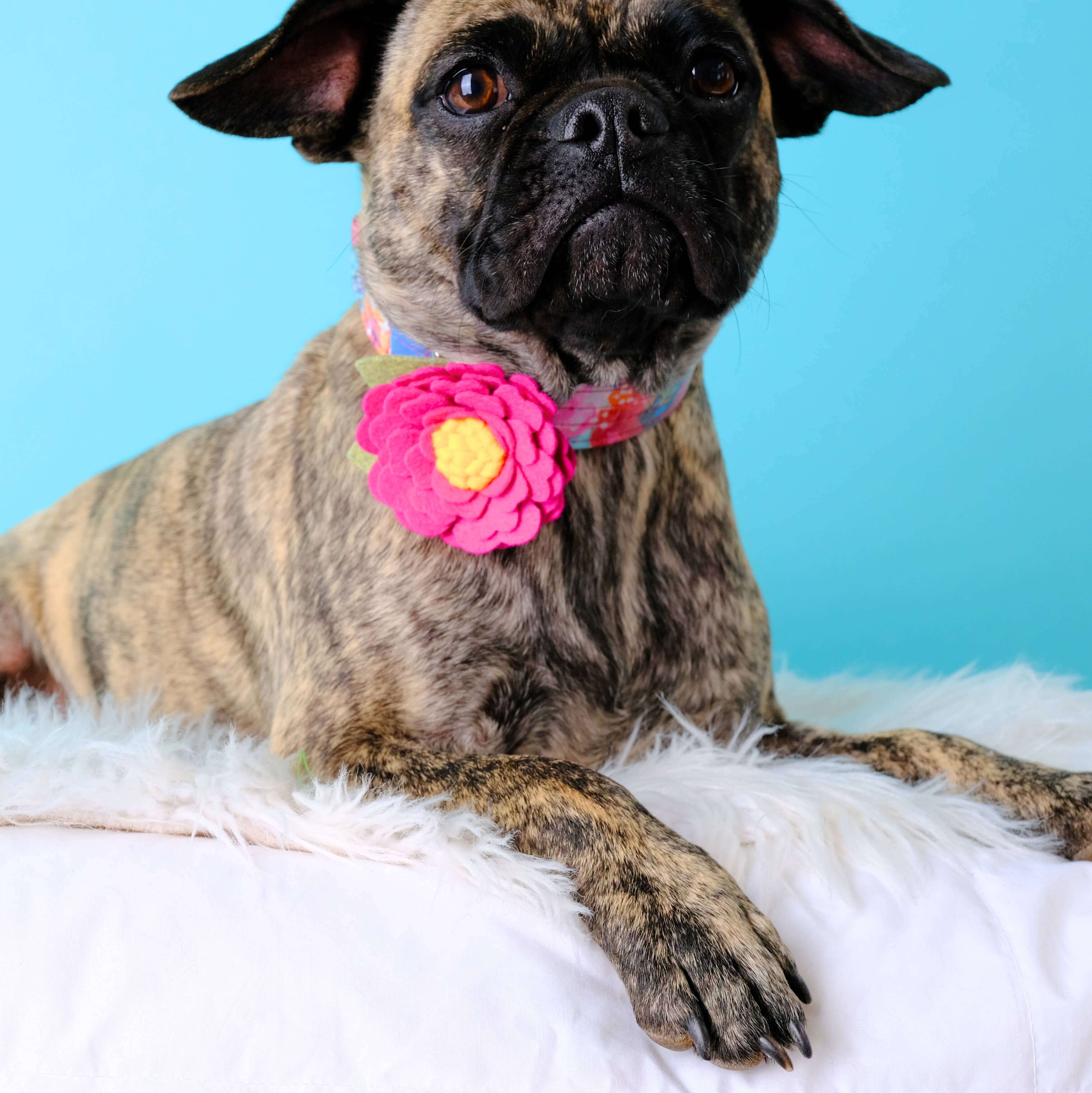 Mimi Green – wholesale Halsband - Katt och hund – Pionhalsbandsblomma för hund1