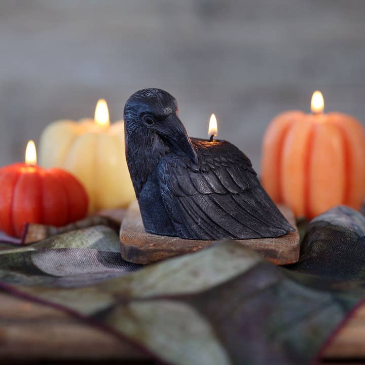 Big Dipper Wax Works - Wholesale Novelty Candle - Crow Candle – 100% Beeswax – Black – 4” Handcrafted5
