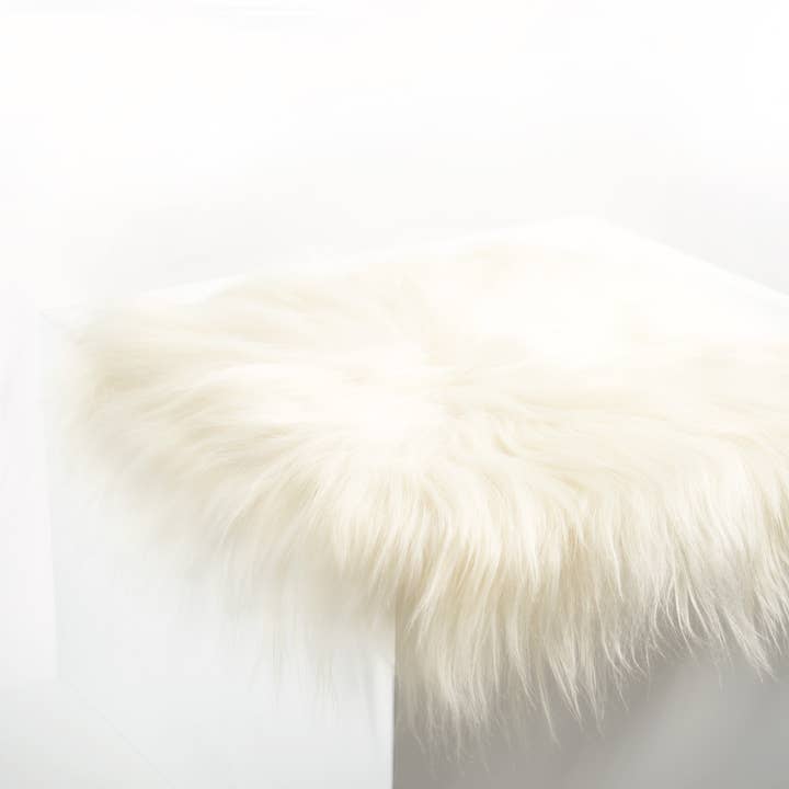 Black Sheep (White Light) - Wholesale Chair Cushion - White Icelandic Sheepskin Chair Pad