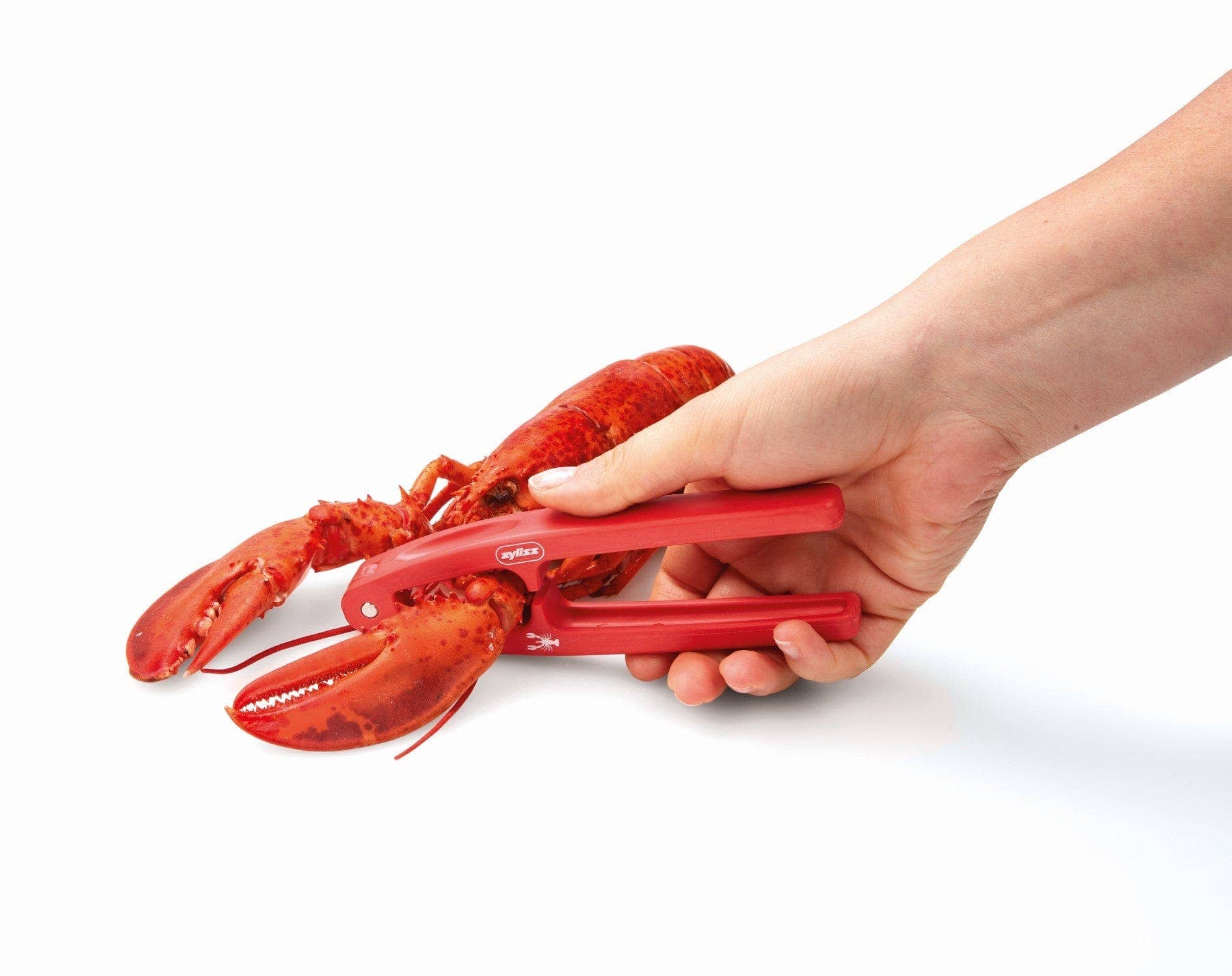 DKHB [Zyliss, Cole & Mason, Swissmar, AdHoc, Ken Hom] - Wholesale Kitchen Tool/Gadget - Zyliss Seafood Cracker3