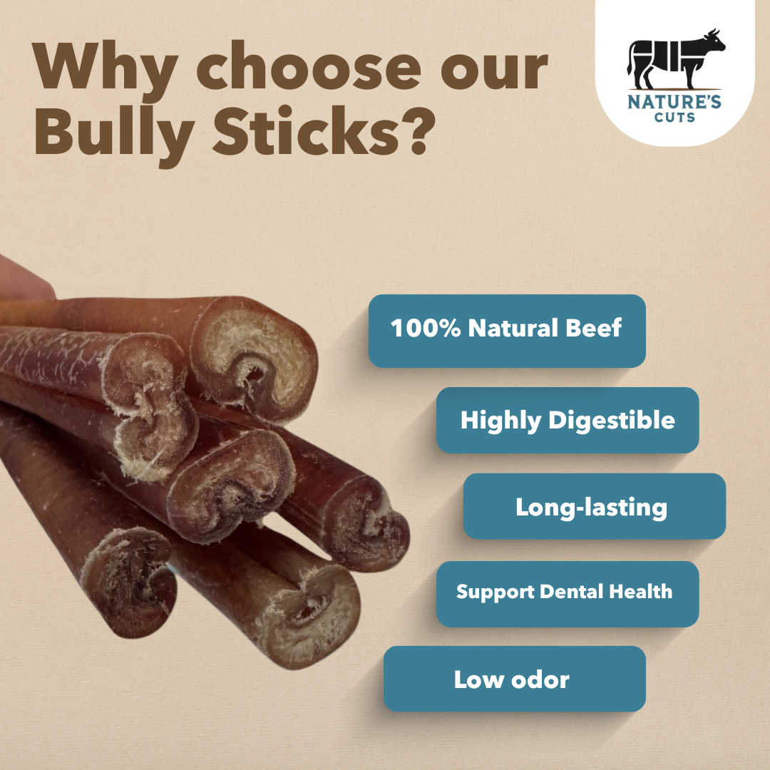 Mighty Chewz - Wholesale Pet Treats - Dog - 12" Thick Bulk Bully Sticks (Case Price: $3.33/Stick)2