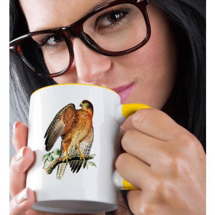 3dRose - Wholesale Coffee Mug - 3dRose, Brown Goshawk Bird of Prey Vintage Art - Predator Hawk Raptor Birds, Mug1