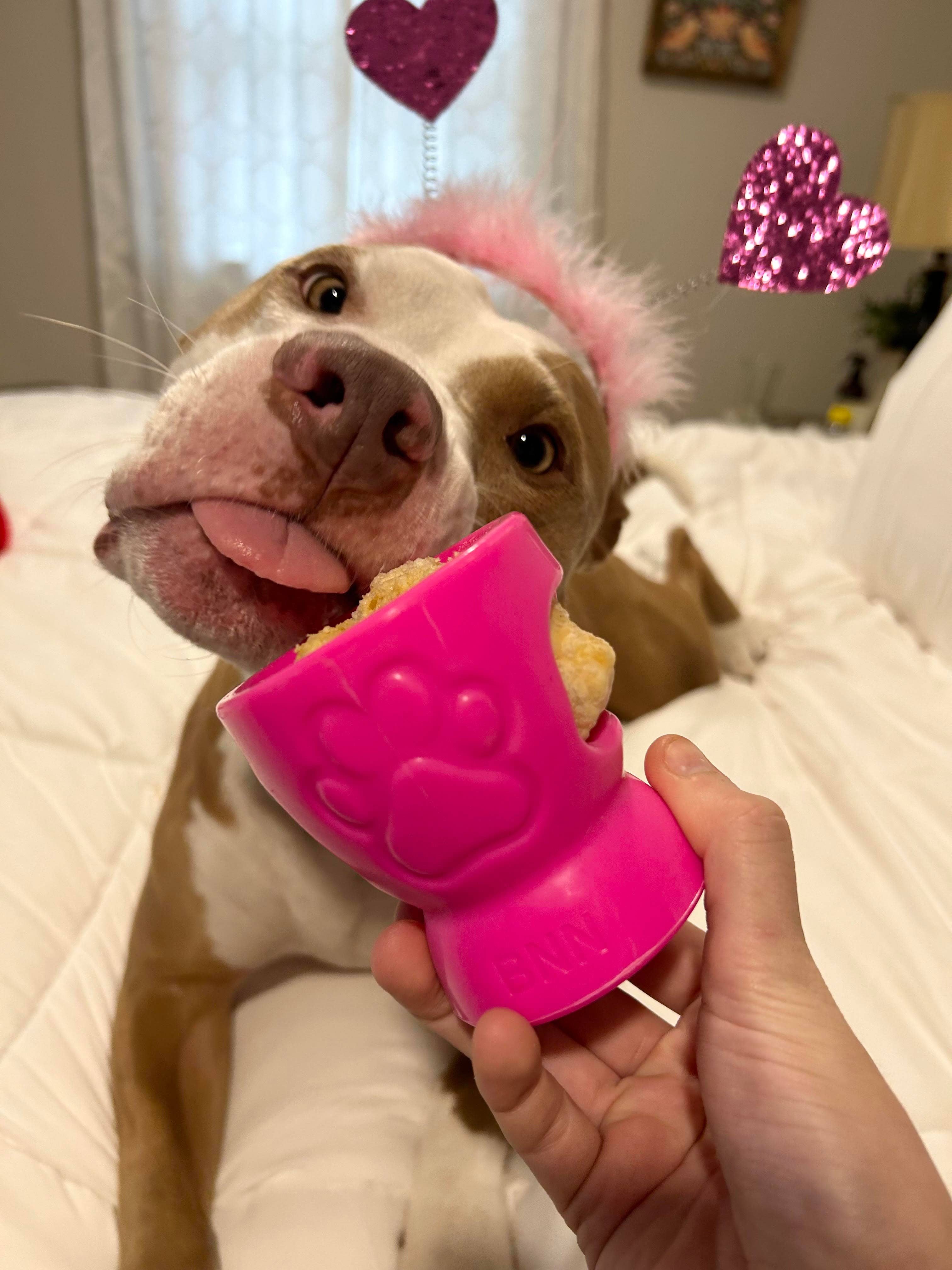 Durkha Dog Chew - Wholesale Pet Chew Toy - Dog - Durkha Puff & Fetch Toy - Microwaveable Yak Cheese Toy4