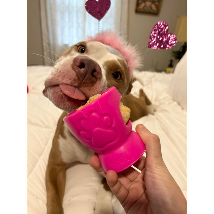 Durkha Dog Chew - Wholesale Pet Chew Toy - Dog - Durkha Puff & Fetch Toy - Microwaveable Yak Cheese Toy4