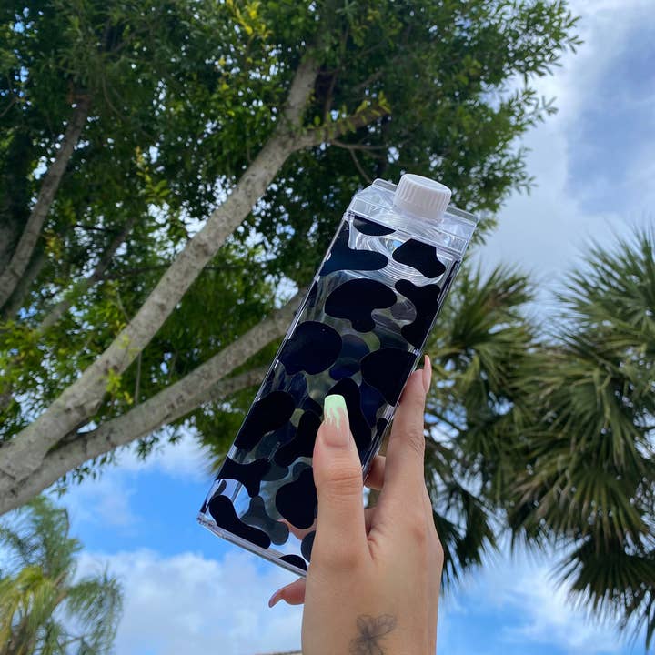 Paulakoalaco - Vendita all'ingrosso Borracce - Cartone di latte di mucca4