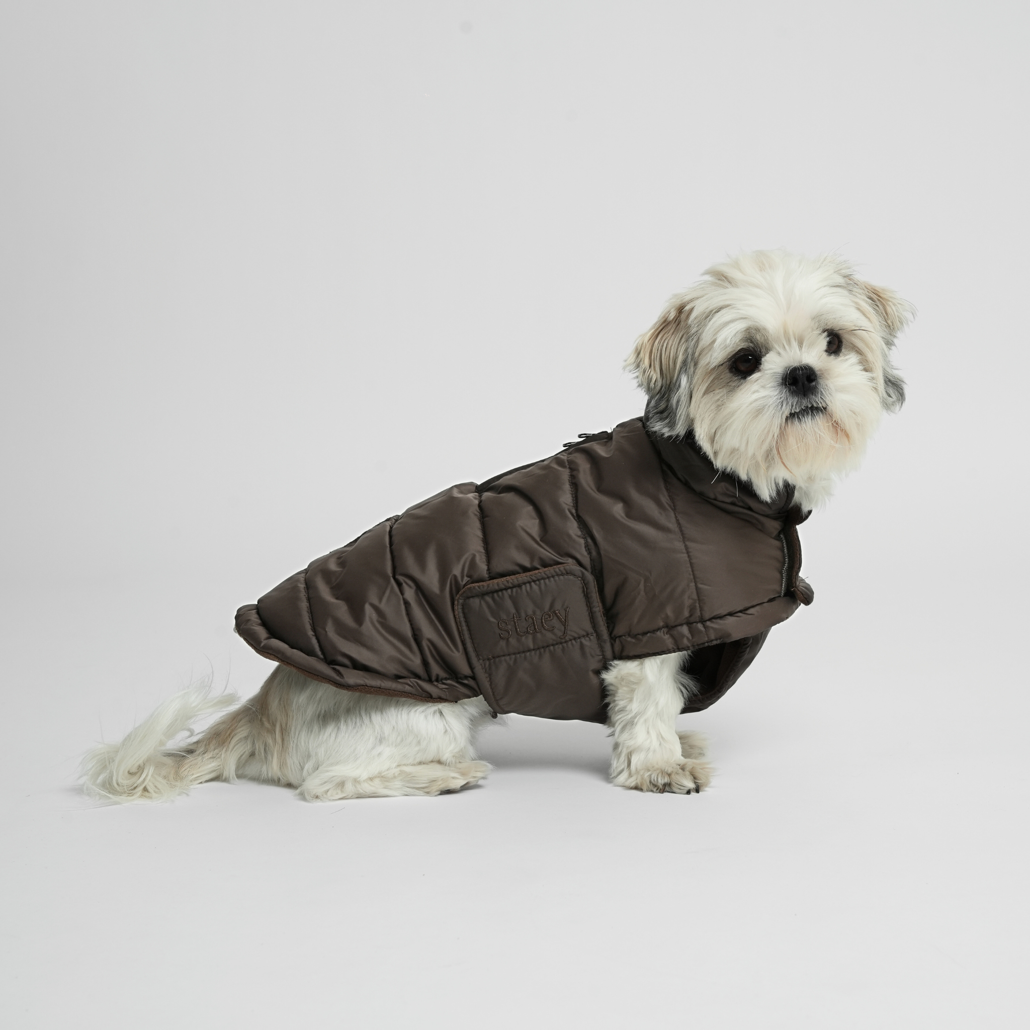 Staey - Wholesale Pet coat – Dog - Nora Dog Coat | Espresso1