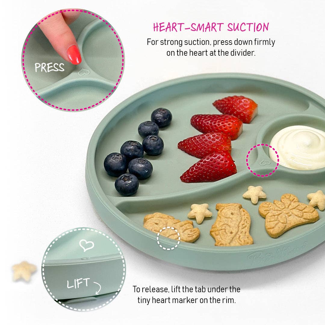 Brightberry - Wholesale Dinner Plate - Kids & Baby - Divided Suction Plate3