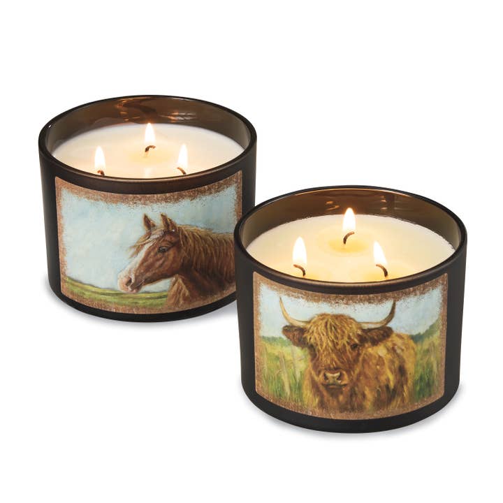 Back in the Saddle - Wholesale Novelty Candle - Horse Candle