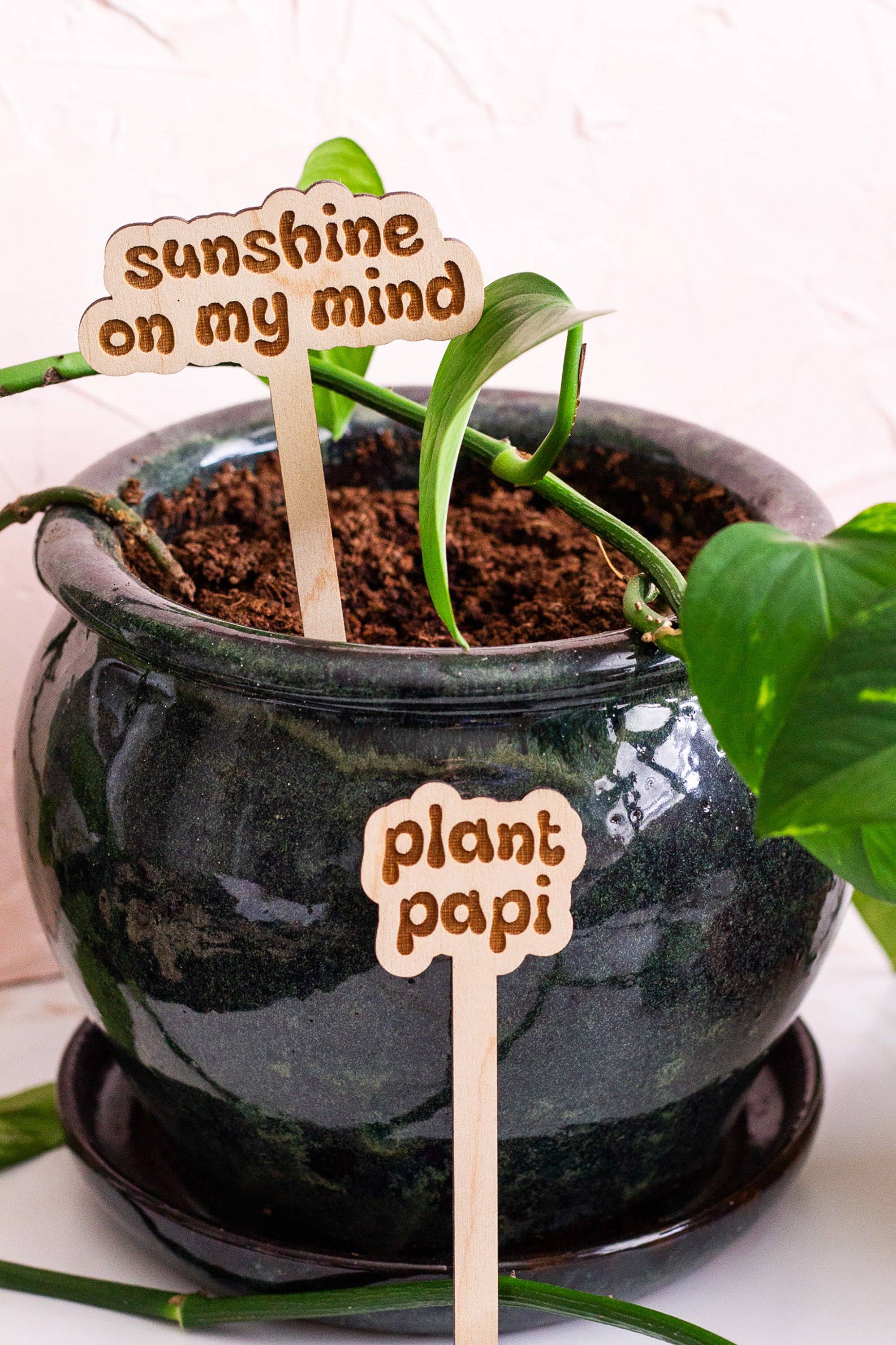 The Print Pantry - Wholesale Garden/Lawn Stake - Retro Funny Wooden Plant Markers9