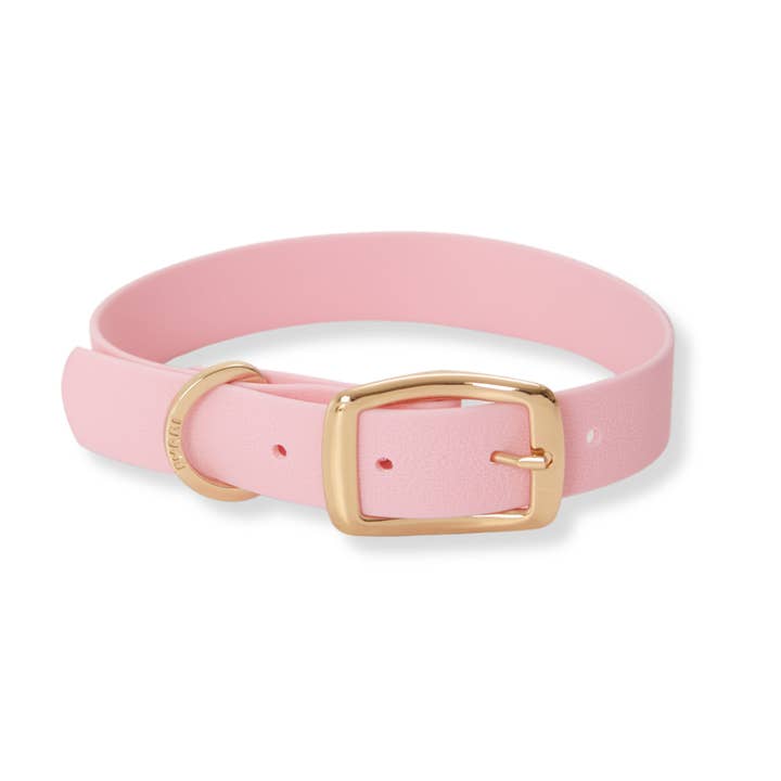 Furei Pets - Wholesale Pet Collar - Dog - Collar4
