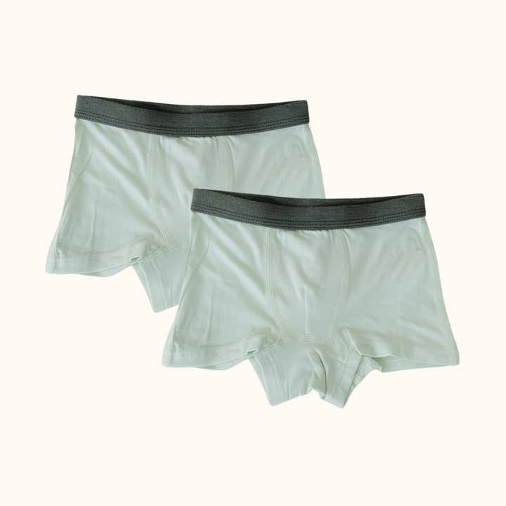 2 Pack Boxer Briefs - Green/Green Sawyer for wholesale by Just Peachy