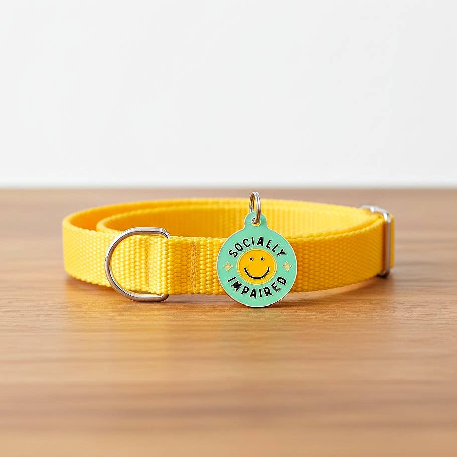 Bad Tags - Venta al por mayor Chapa de identificación - Perros - Placa de Perro de Esmalte con ID Escaneable - Socialmente Impedido3