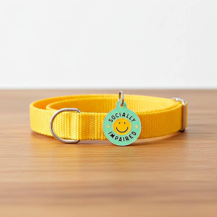 Bad Tags - Venta al por mayor Chapa de identificación - Perros - Placa de Perro de Esmalte con ID Escaneable - Socialmente Impedido3