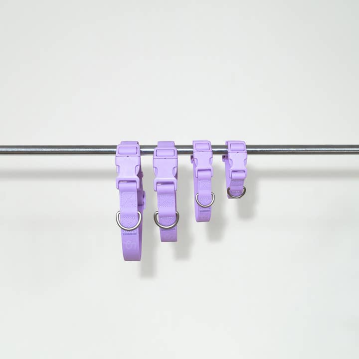 Springland Pets - Wholesale Pet collar – Dog - Dog Collar - All-Weather, Adjustable (4 Pack)1