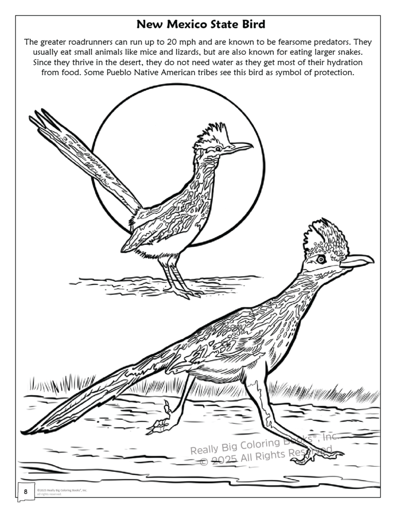 Really Big Coloring Books | ColoringBook.com - Vente Livre – enfant - Livre de coloriage de l'État du Nouveau-Mexique 8,5 x 114